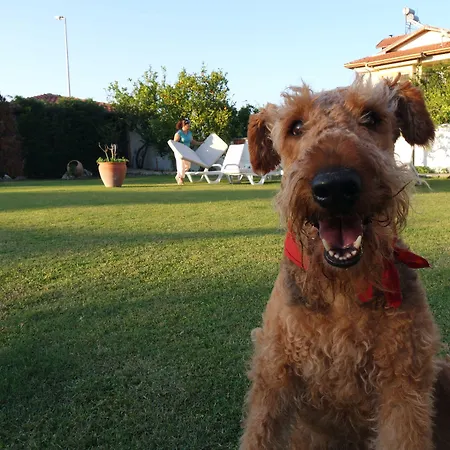 Otel Crescent Hasirci Ortaca (Mugla)