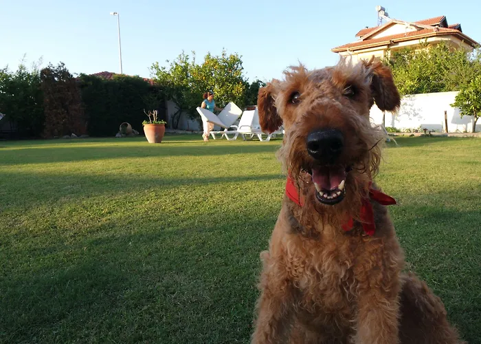 Hotell Crescent Hasirci Ortaca (Mugla)