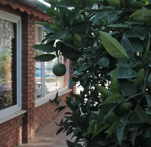 Crescent Hasirci Ortaca (Mugla)